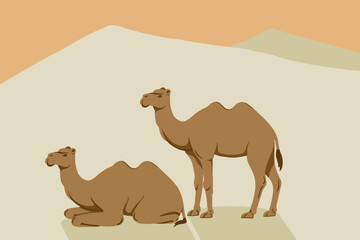 camel in the desert landscape vector illustration brown