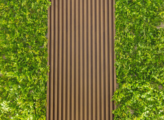 Natural Wood Panel Vertical Lines Between Green Foliage Plants Wall Background