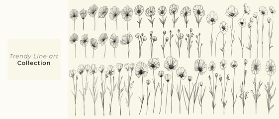 Chicory flowers in black line art for wedding logos, feminine botanical floral branch, trendy greenery collection, hand drawn wedding herbs, stationery and decor elements