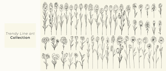 Black line art set of carnations, hand-drawn wedding herbs, botanical floral branch, feminine greenery for luxury wedding invitations, branding, and stationery, elegant floral design