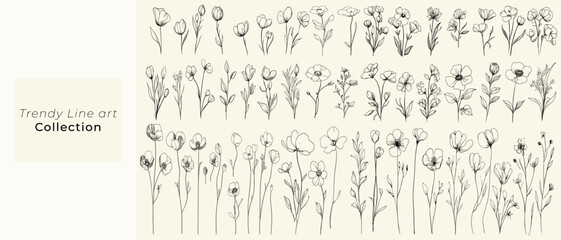 Wildflower collection with minimalist black line art of wild meadow buttercup, chic wedding stationery, feminine botanical floral branch, trendy greenery, rustic decor, boho-themed branding