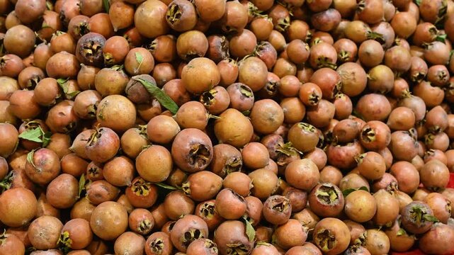 Common medlar for sale in the market. Mespilus germanica.