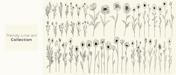 Minimalist black line art of wild marigolds, hand drawn wildflowers, feminine botanical floral branch, trendy greenery, perfect for personalized branding, chic decor, modern wedding stationery