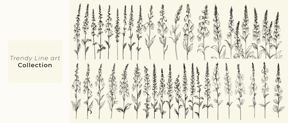 Feminine botanical floral branch, trendy greenery, wildflower collection, chic branding, minimalist black line art of wild foxgloves for wedding invitations, personalized wedding stationery © aura studio