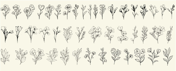 Feminine botanical freesia floral branch, minimalist black line art for rustic wedding invitations, trendy greenery for eco-conscious decor, boho branding, personalized stationery, wedding logos