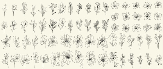 Minimalist black line art azaleas for elegant wedding stationery, hand-drawn botanical greenery, feminine floral branch, chic decor, branding, modern wedding invitations, floral logos, event design.