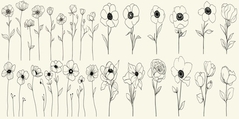 Elegant greenery set for branding, hand drawn wedding herbs, minimalist black line art anemones for wedding invitations and decor, botanical vector illustrations, wedding floral designs