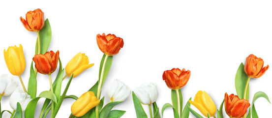 composition of tulips on white isolated background © Ирина Гутыряк