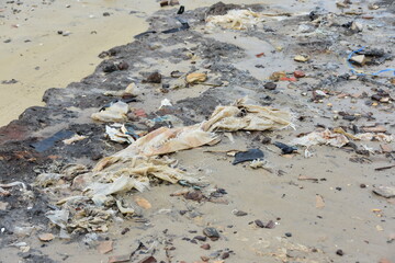 Severe plastic pollution on a shore in Brazil