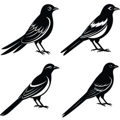 Stylized Drongo Silhouette Vector – Ideal for Digital & Print Use.