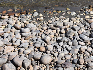 Round stones on the shore of a slow running river