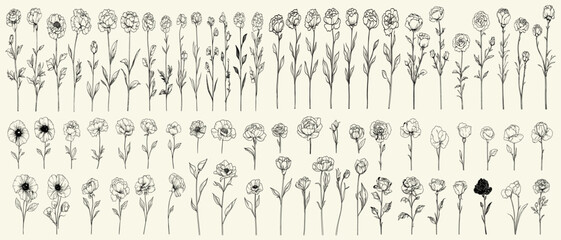 Feminine botanical branch with trendy greenery and intricate black line art carnations, ideal for wedding logos, modern invitations, chic event branding, luxury decor, floral designs, wedding herbs