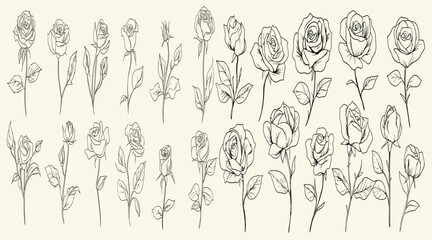 Feminine botanical floral branch and hand-drawn greenery for luxurious wedding themes, perfect for branding, classic invitations, and romantic wedding stationery, elegant rose line art, wedding decor.