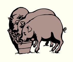 Vector drawing. Pigs eating rhe food