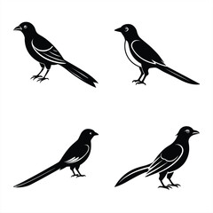 Elegant Drongo Silhouette Vector Icon – Perfect for Logos & Art.