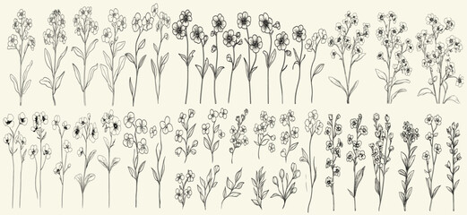 Feminine botanical wildflower collection with chic greenery for wedding stationery, rustic decor, eco-conscious branding, black line art of wild forget-me-not, perfect for logos.