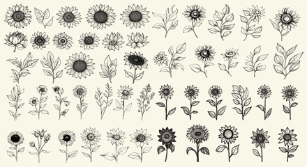 Black line art sunflowers for rustic wedding invitations and logos, perfect for boho decor, eco-conscious branding, personalized stationery, botanical floral branches, trendy greenery, wedding design.