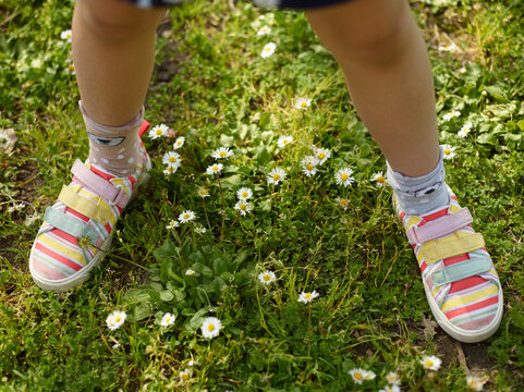 feet in the grass