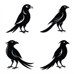Drongo Bird Silhouette Vector Icon – High-Quality Download.