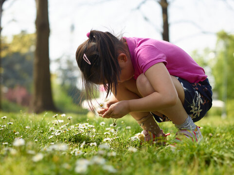 girl picking wildflowers