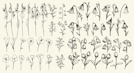 Chic decor with black line art bellflowers, hand-drawn greenery, botanical floral branches, elegant wedding herbs, perfect for modern wedding invitations, branding, and stationery, wedding design