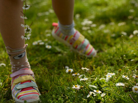 legs of a young girl on a green grass