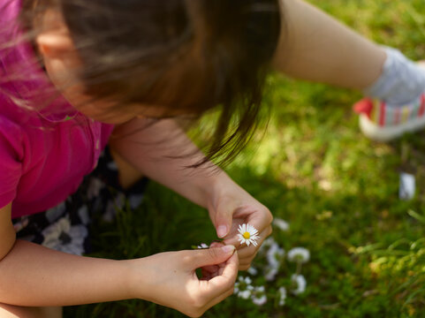 girl picking wildflowers