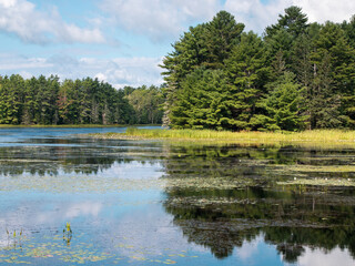 Hamilton Pond Mount Desert Island Maine Lily Pads and Sky Reflection