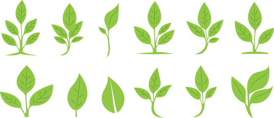 Sprout Logo Set Isolated White background. Vector Illustration