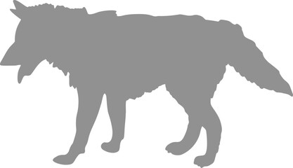 animal, 동물, 야생 동물, 실루엣, 난폭한, 돼지, 들소, 멧돼지, 늑대, 개, 벡터, 포유동물, 네이처