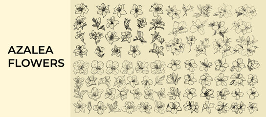 Hand-drawn Azalea flowers with elegant greenery in black line art, perfect for wedding stationery, botanical logos, branding, and modern floral vector design elements.