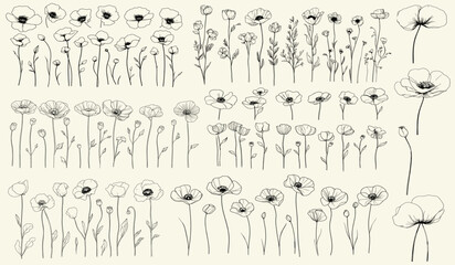 Hand-drawn botanical floral branch poppies, trendy greenery, and feminine wedding herbs for branding, logos, and wedding invitations decor, elegant floral design, custom wedding decor.