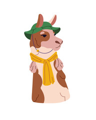 Cute llama in bucket hat avatar. Lama with trendy scarf on neck. Happy alpaca, guanaco is dressed. Mexican animal character wears fashion clothes. Flat isolated vector illustration on white background