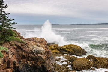 Acadia National Park Ocean Path Rocky shore Maine