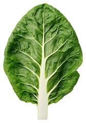 Obraz premium Isolated Swiss Chard Leaf with Green Veins on Transparent Background Close Up