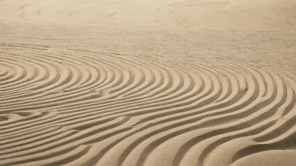 Naklejka premium undulating patterns create a mesmerizing dance across the sandy landscape
