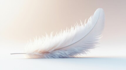 Obraz premium Delicate white feather rests softly, light background.
