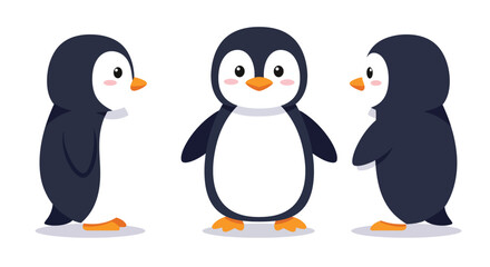 Fototapeta premium The penguin transitions from a side view to a front view and then to a different side view.