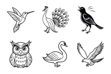 Majestic Birds Line Art Bundle (Hummingbird, Peacock, Singing Bird, Owl, Swan, and Eagle)