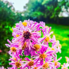 Erfurt, Germany - European townscape