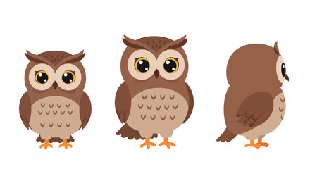 Fototapeta premium The first frame displays a front view of the owl, while the second shows a side view.