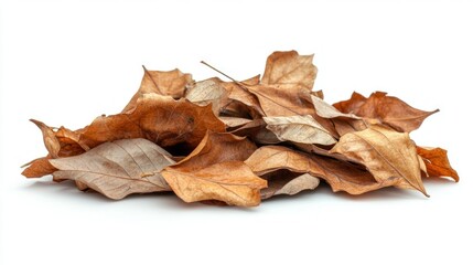 Naklejka premium Dried brown leaves pile, autumn, studio shot, white background, fall decor