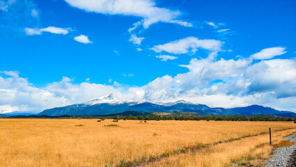 Argentina's Bainai National Park - Park and glacier landscape