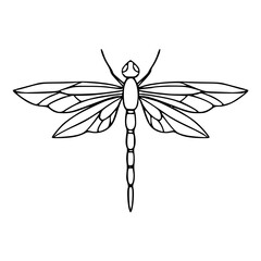 a black and white drawing of a dragonfly in outline style