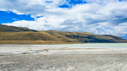 Argentina's Bainai National Park - Park and glacier landscape