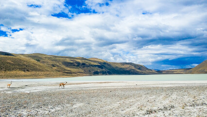 Argentina's Bainai National Park - Park and glacier landscape