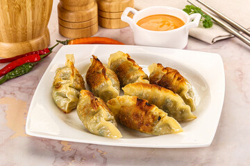 Japanese fried Gyoza stuffed dumplings