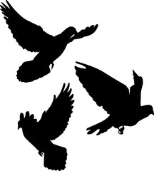 Flying Pigeons Silhouettes