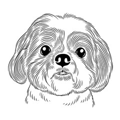 Dog Line art illustration