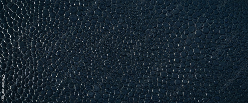 Poster aerial view of a dark shiny crocodile skin pattern. the contrast between the circles and lines of th
